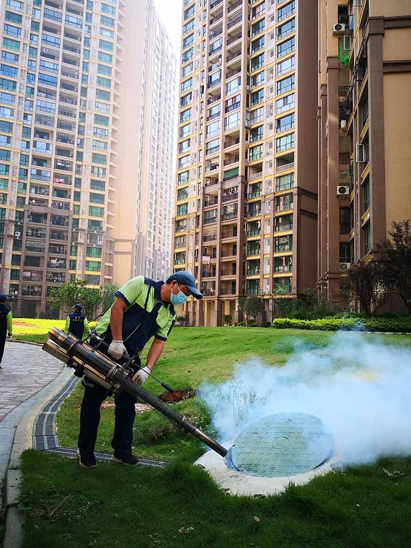 積水體滅蚊幼蟲(chóng)