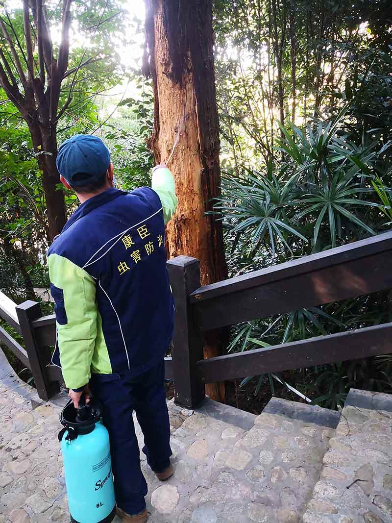 學(xué)校消殺