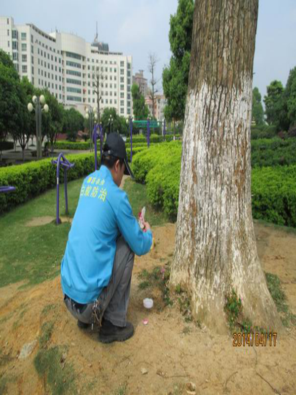 賀州市廣場滅白蟻